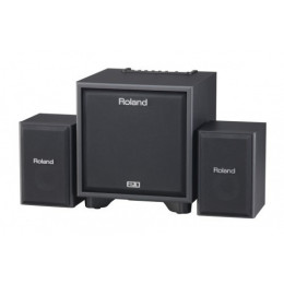 Акустическая система ROLAND CUBE MONITOR CM-110