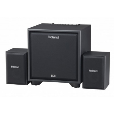 Акустическая система ROLAND CUBE MONITOR CM-220 Акустическая система ROLAND CUBE MONITOR CM-220