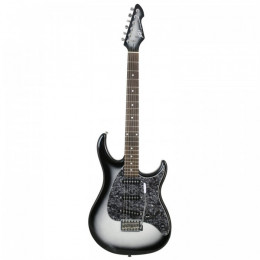PEAVEY Raptor Custom SLB, электрогитара 22 лада PEAVEY Raptor Custom SLB, электрогитара 22 лада