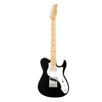Электрогитара FGN J-Standard Iliad JIL-ASH-MH BK Электрогитара FGN J-Standard Iliad JIL-ASH-MH BK