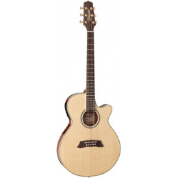 TAKAMINE TSP138CN электроакустическая гитара, в комплекте кейс TAKAMINE TSP138CN электроакустическая гитара, в комплекте кейс