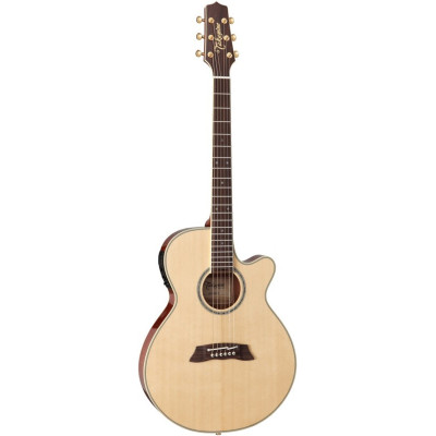 TAKAMINE TSP138CN электроакустическая гитара, в комплекте кейс TAKAMINE TSP138CN электроакустическая гитара, в комплекте кейс