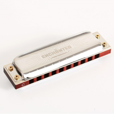 Губная гармоника диатоническая EASTTOP PRO30 G Губная гармоника диатоническая EASTTOP PRO30 G