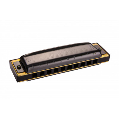 Губная гармоника диатоническая HOHNER Pro Harp 562/20 MS E Губная гармоника диатоническая HOHNER Pro Harp 562/20 MS E