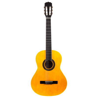 ARIA FIESTA FST-200-53 N Гитара классическая, размер 1/2, верх: американская липа