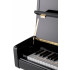 Sam Martin UP115B Пианино акустическое, 88 клавиш, высота 115мм, цвет черный, фурн. золото, банкетка