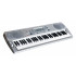 Ringway TB688 Синтезатор, полноразмерная клавиатура с чувствительностью к касанию, 61 клавиша