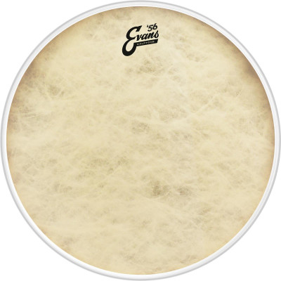 EVANS BD16CT Пластик барабанный 16", Calftone