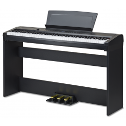 Becker BSP-102B портативное цифровое пианино, цвет черный, клавиатура стандартная, 88 клавиш