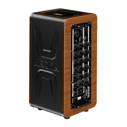 Комбоусилитель для акустической гитары AROMA AG-60A Комбоусилитель для акустической гитары AROMA AG-60A
