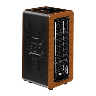 Комбоусилитель для акустической гитары AROMA AG-60A Комбоусилитель для акустической гитары AROMA AG-60A