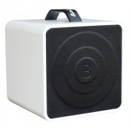 Комбоусилитель для акустической гитары BELCAT Busker Box Acoustic 40 Комбоусилитель для акустической гитары BELCAT Busker Box Acoustic 40