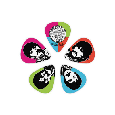 Набор медиаторов 10 шт. PLANET WAVES 1CWH4-10B6 Набор медиаторов 10 шт. PLANET WAVES 1CWH4-10B6