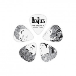 Набор медиаторов 10 шт. PLANET WAVES 1CWH2-10B1 Набор медиаторов 10 шт. PLANET WAVES 1CWH2-10B1