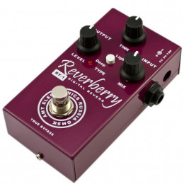 Педаль эффектов AMT ELECTRONICS RY-1 Педаль эффектов AMT ELECTRONICS RY-1