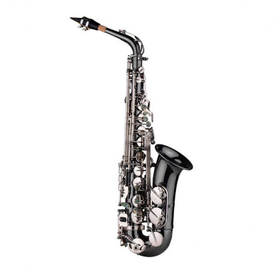 Саксофон альт VERMONT JYAS102 DBNS Саксофон альт VERMONT JYAS102 DBNS
