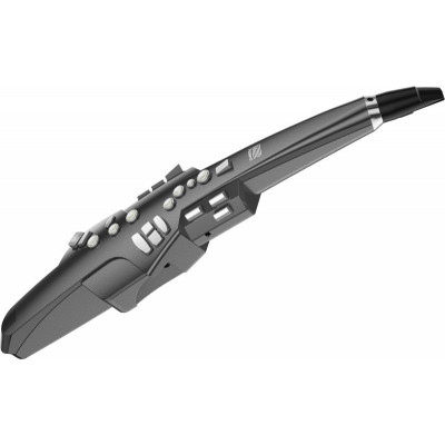 Саксофон ROLAND AE-10G Саксофон ROLAND AE-10G