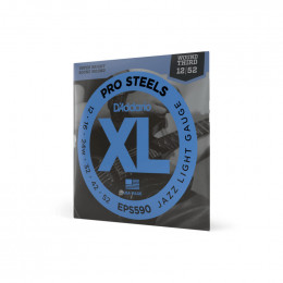Струны для электрогитары D'ADDARIO EPS590 Струны для электрогитары D'ADDARIO EPS590