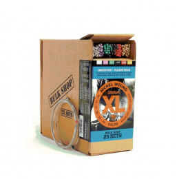 Струны для электрогитары D'ADDARIO EXL110 -B25 Струны для электрогитары D'ADDARIO EXL110 -B25