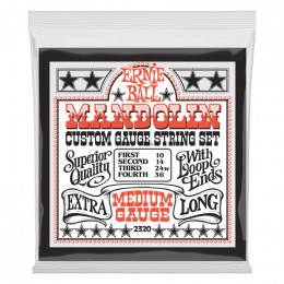 Струны для мандолины ERNIE BALL 2320 Stainless Steel Medium 10-30 Струны для мандолины ERNIE BALL 2320 Stainless Steel Medium 10-30