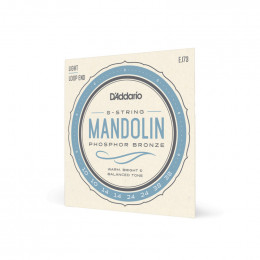 Струны для мандолины D'ADDARIO EJ73 Струны для мандолины D'ADDARIO EJ73