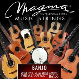 Magma Strings BA100 - Струны для 5-струнного банджо, Серия: Banjo, Калибр: , Обмотка: посеребрёная.