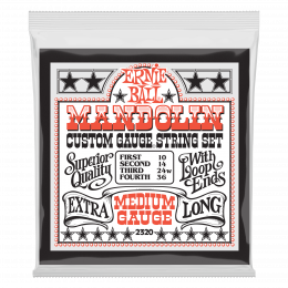 Ernie Ball 2320 струны для мандолины Stainless Steel Medium (10-14-24w-36) Ernie Ball 2320 струны для мандолины Stainless Steel Medium (10-14-24w-36)
