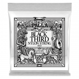 Ernie Ball 1513 3я струна для классической гитары. Черный нейлон, калибр .040 Ernie Ball 1513 3я струна для классической гитары. Черный нейлон, калибр .040