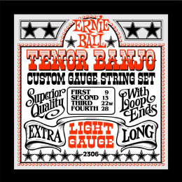 Ernie Ball 2306 струны для 4 стр. тенор банджо Stainless Steel Light (9-13-22w-28) Ernie Ball 2306 струны для 4 стр. тенор банджо Stainless Steel Light (9-13-22w-28)