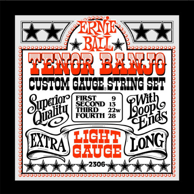Ernie Ball 2306 струны для 4 стр. тенор банджо Stainless Steel Light (9-13-22w-28) Ernie Ball 2306 струны для 4 стр. тенор банджо Stainless Steel Light (9-13-22w-28)