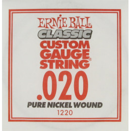 Ernie Ball 1220 струна для электро и акустических гитар. Никель, калибр .020