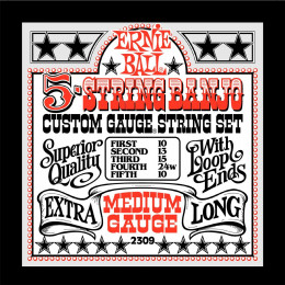 Ernie Ball 2309 струны для 5-стр. банджо Stainless Steel Medium (10-13-15-24w-10) Ernie Ball 2309 струны для 5-стр. банджо Stainless Steel Medium (10-13-15-24w-10)