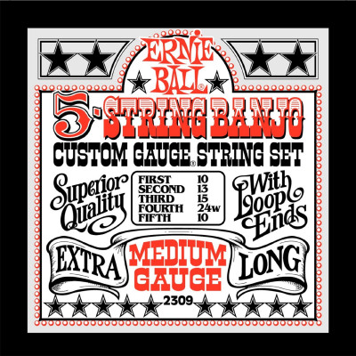 Ernie Ball 2309 струны для 5-стр. банджо Stainless Steel Medium (10-13-15-24w-10) Ernie Ball 2309 струны для 5-стр. банджо Stainless Steel Medium (10-13-15-24w-10)