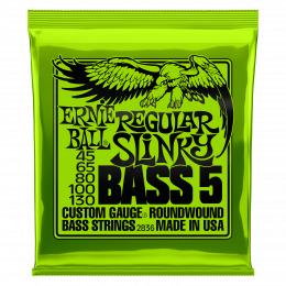 Ernie Ball 2836 струны для 5-струнной бас-гитары Nickel Wound Bass Reguilar Slinky 5 (45-65-80-100-130) Ernie Ball 2836 струны для 5-струнной бас-гитары Nickel Wound Bass Reguilar Slinky 5 (45-65-80-100-130)