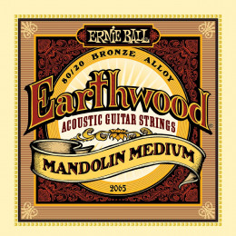 Ernie Ball 2065 струны для мандолины Earthwood 80/20 Bronze Medium Light (10-14-24w-36) Ernie Ball 2065 струны для мандолины Earthwood 80/20 Bronze Medium Light (10-14-24w-36)