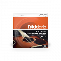 D'Addario EFT13 - комплект струн для резонаторной гитары 16-19-28-36-44-56