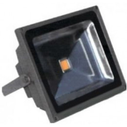 Светодиодный прожектор RICH LED RL-FL-12-50 -G