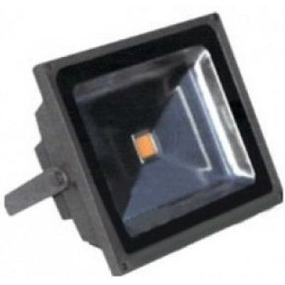 Светодиодный прожектор RICH LED RL-FL-12-50 -G Светодиодный прожектор RICH LED RL-FL-12-50 -G