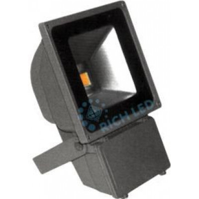 Светодиодный прожектор RICH LED RL-FL-12-70 -W Светодиодный прожектор RICH LED RL-FL-12-70 -W