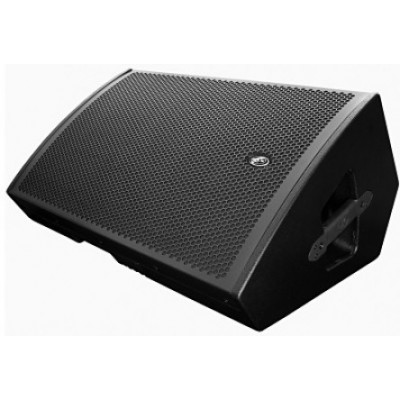 DAS AUDIO SML-15 Пассивный двухполосный сценический монитор, 15" динамик (15LN/GM 15P)