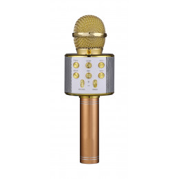 FunAudio G-800 Gold Беспроводной микрофон. Поддержка файлов: MP3, WMA. Bluetooth V4.0 + EDR. 3W
