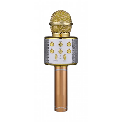 FunAudio G-800 Gold Беспроводной микрофон. Поддержка файлов: MP3, WMA. Bluetooth V4.0 + EDR. 3W