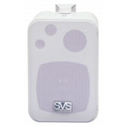 SVS Audiotechnik WSM-20 White Громкоговоритель настенный, динамик 4", драйвер 0.5", 10Вт (RMS)